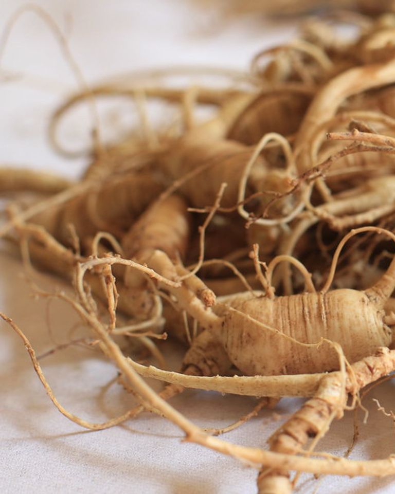 Plante adaptogène : Ginseng