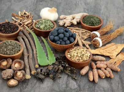 10 plantes pour booster votre santé
