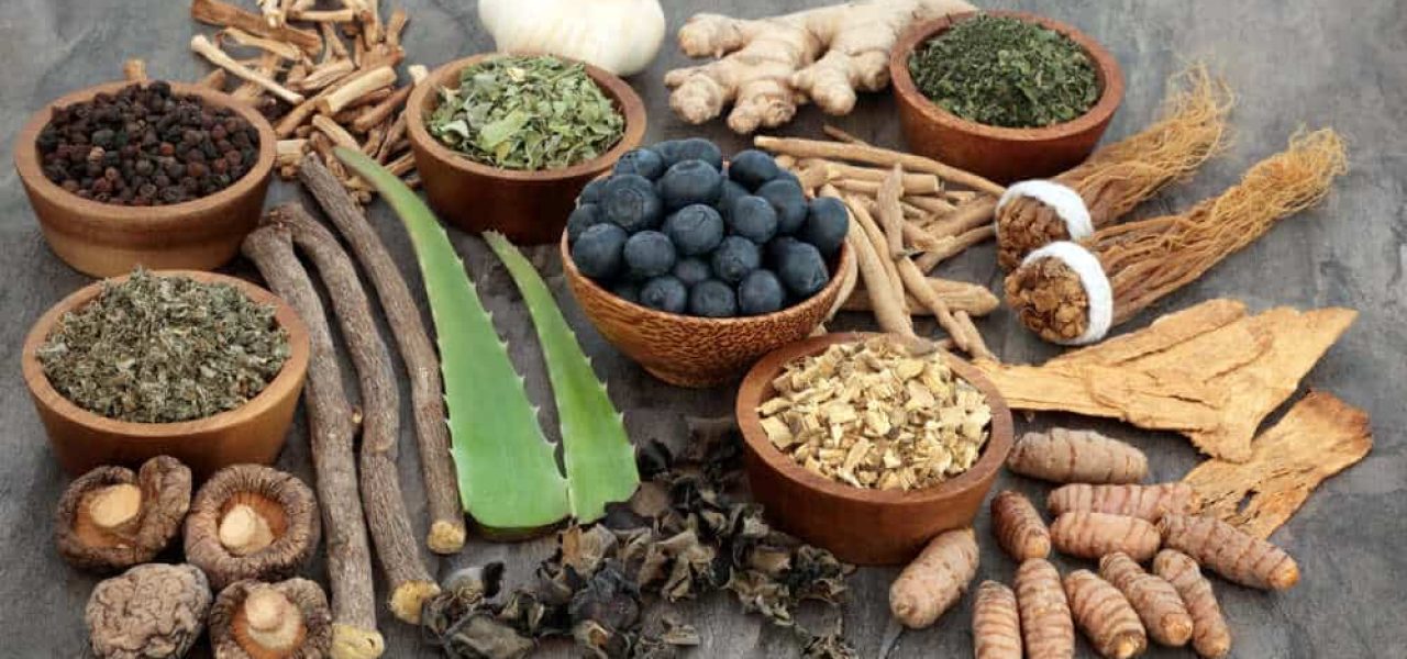 10 plantes pour booster votre santé