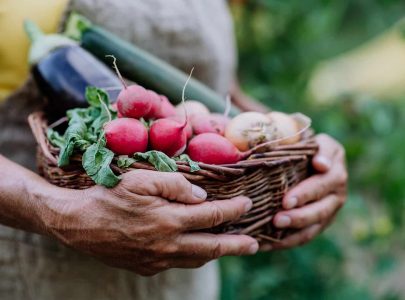 A close-up of senior farmer holding basket with autumn harvest from her garden.