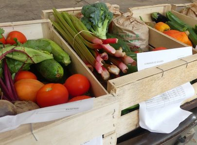 Mustafa est maraîcher bio. Il fournit plusieurs AMAP (Association pour le Maintien d'une Agriculture Paysanne) en région parisienne. Le jeudi, c'est la distribution des paniers pour l'AMAP de Noisy-ler-Sec. Préparation des paniers. Il y a aussi la distribution du pain artisanal et d'oeufs.  A cause de l'épidémie du COVID-19, les bénévoles portent des masques et des gants. La distribution se fait chez un des amapiens (adhérents). Claye-Souilly, le 23 avril 2020.