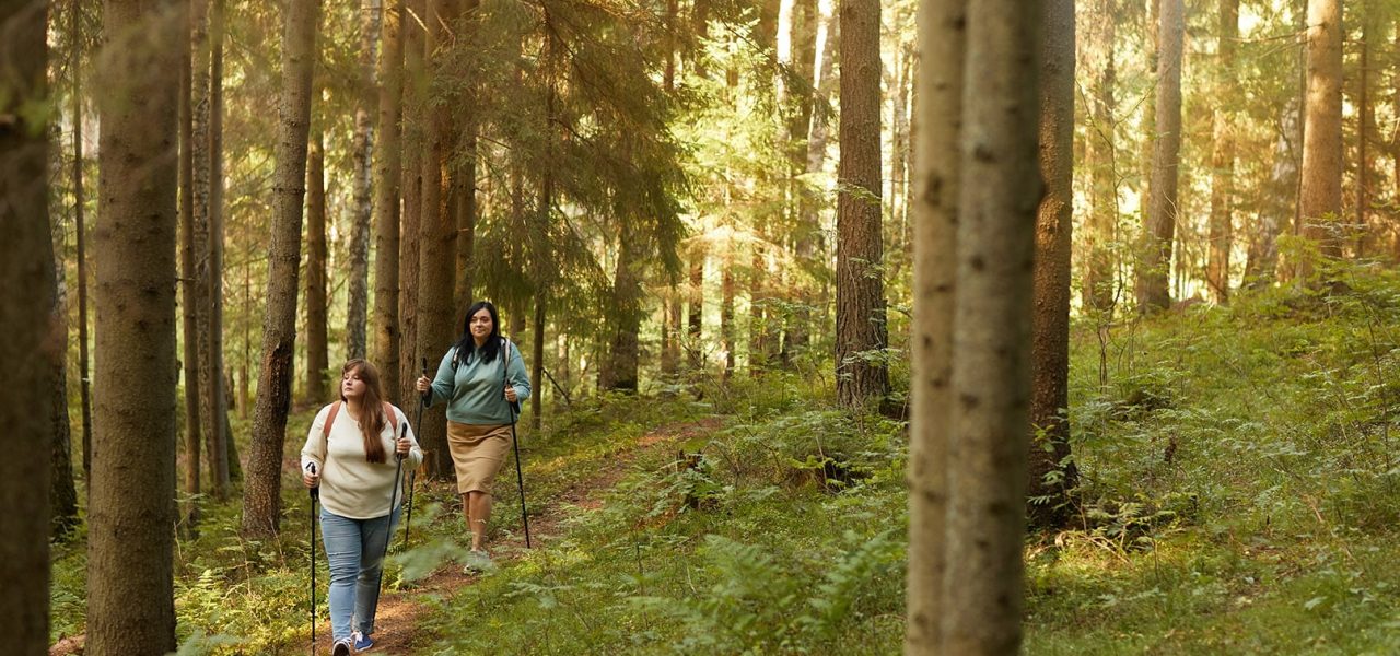 Two women walking with sticks along the forest they doing sports outdoors