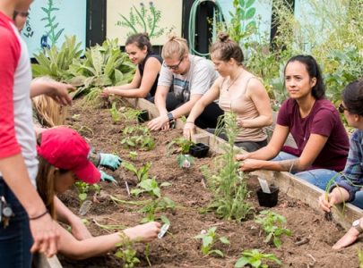 Les meilleures écoles de naturopathie en France