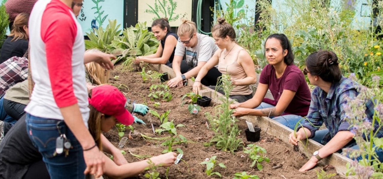 Les meilleures écoles de naturopathie en France