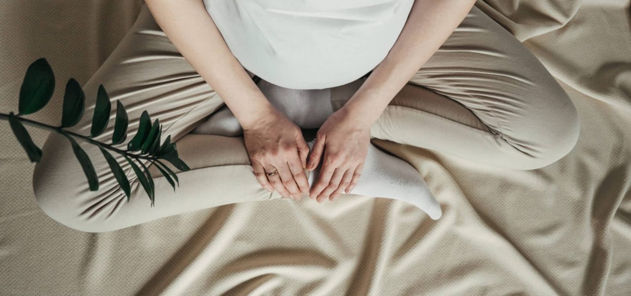 Pregnant woman holds green sprout plant near her belly. Concept pregnancy, maternity, eco sustainable lifestyle, gynecology. Symbol of new life, wellbeing, fertility, unborn baby health.