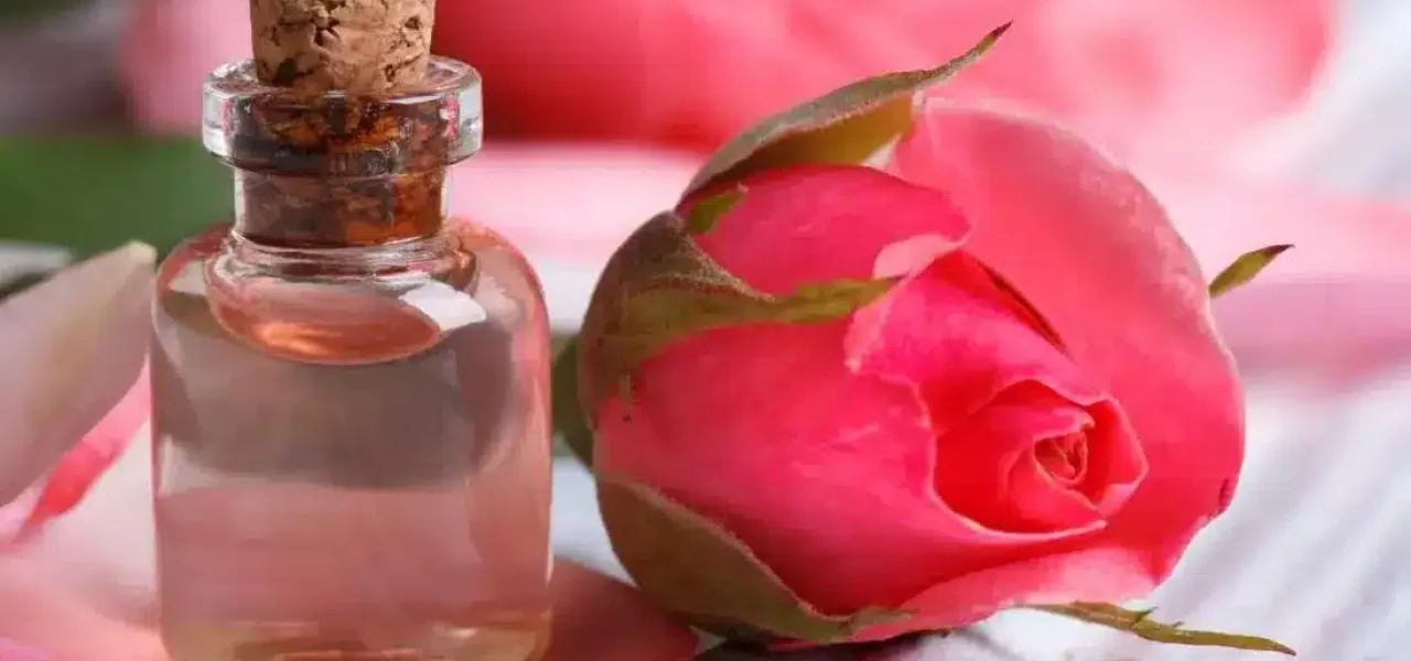 bienfaits-eau-de-rose