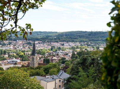 Formation naturopathe Palaiseau