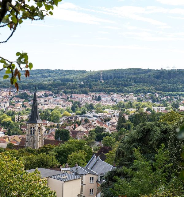 Formation naturopathe Palaiseau