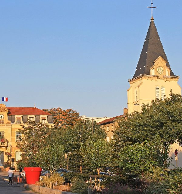 Formation naturopathe Vénissieux