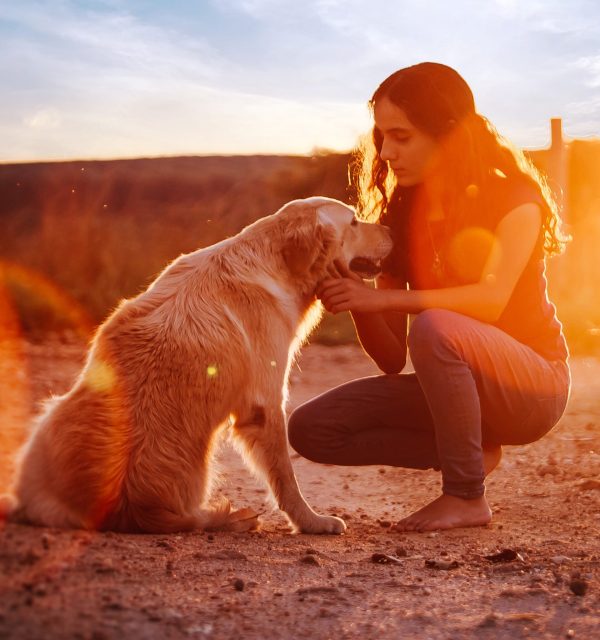 formation naturopathe animalier