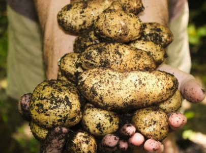 nouveau-label-equitable-bio-guerre-des-prix