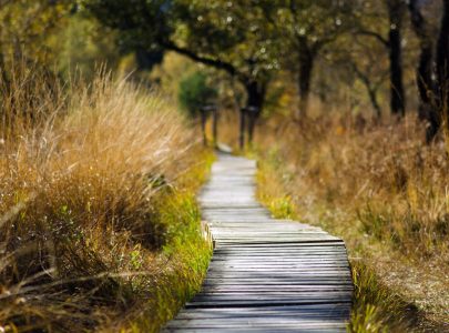 promenade-naturopathie