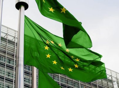 flags and Berlaymont Building